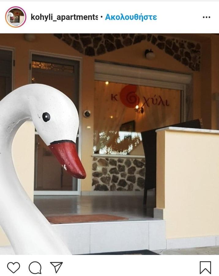 Kohyli Apartments Skala Rachoni  Luaran gambar
